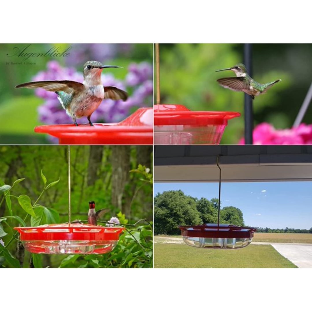 Sevenlady Hummingbird Feeder for Outdoors Hanging, Wild Birds Feeders, 2 Pack, Leak-Proof, Easy to Clean and Refill